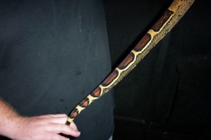 Tail