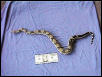 Female Het