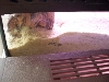 little burrow on front part of cage