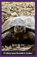 Russian Tortoises In Captivity
