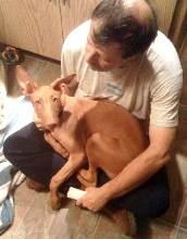 32 pounds of pup