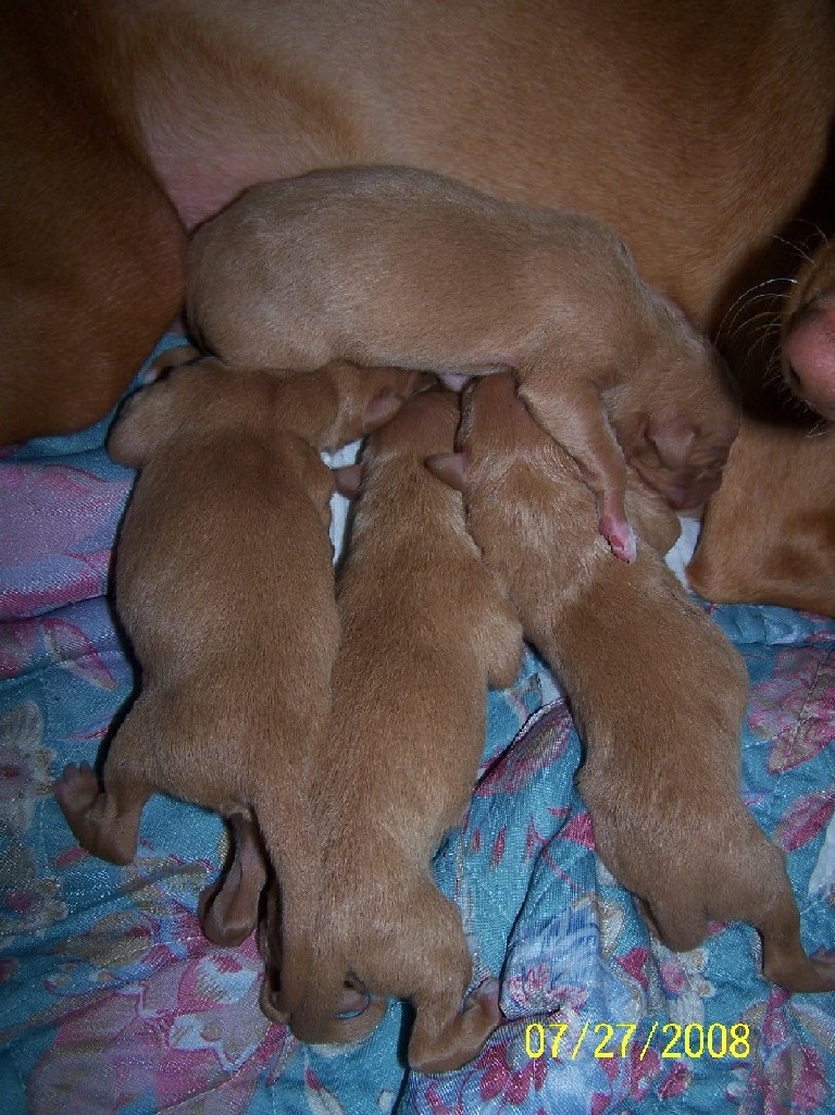 Dejas newborns