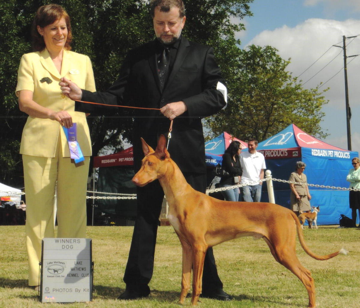 Rory's First Show