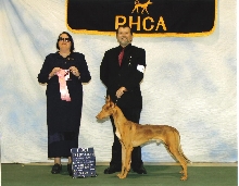 First In Sweeps