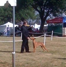 Out-standing in his field