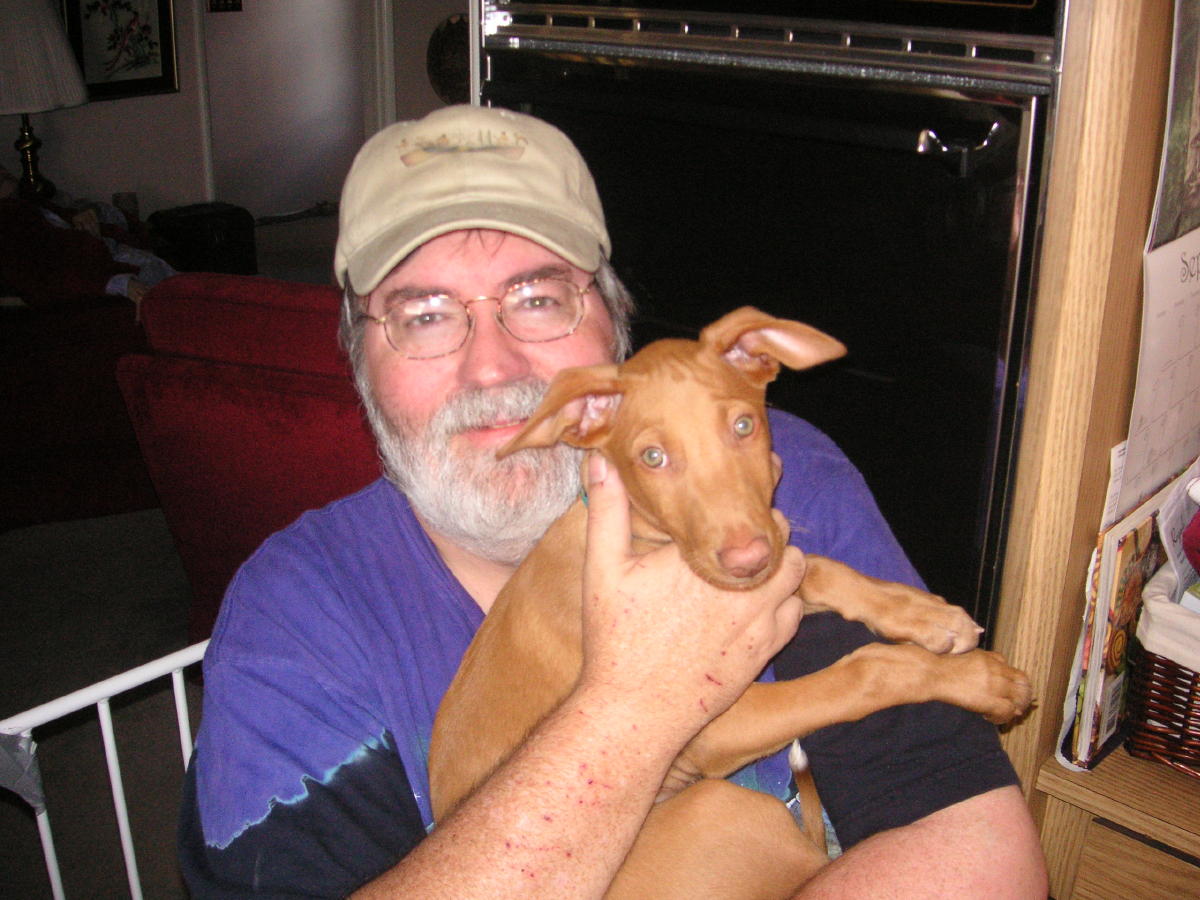 Pharaoh puppy John
