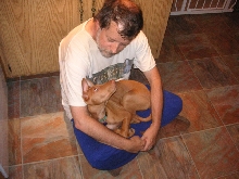 Safe in Daddy's Lap