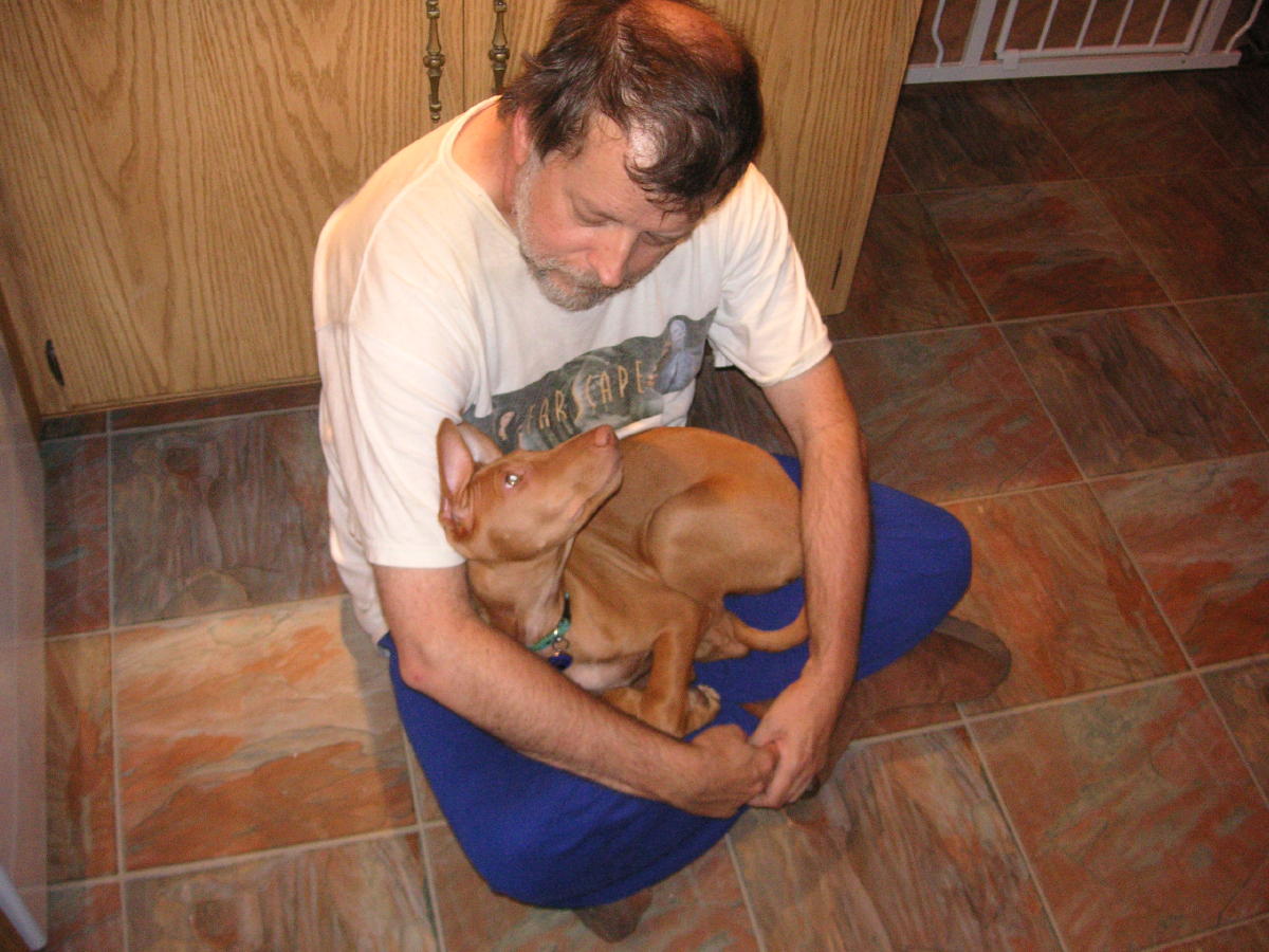 Safe in Daddy's Lap