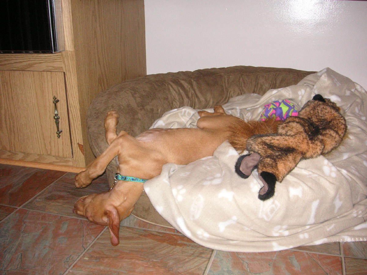 Sound asleep