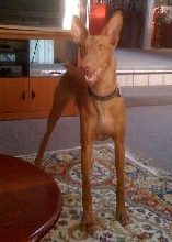 Strike a Pose