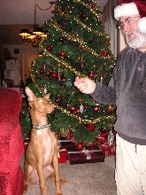 Xmas Rory with Dad John
