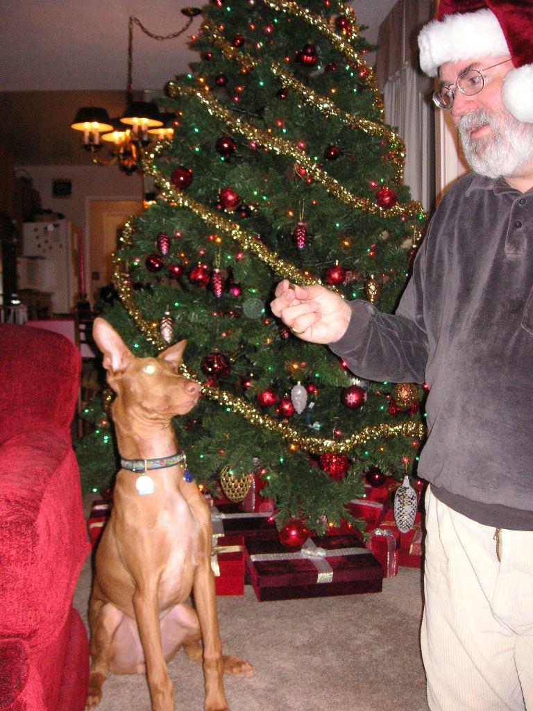 Xmas Rory with Dad John