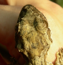 Top view