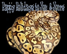 Happy Holidays