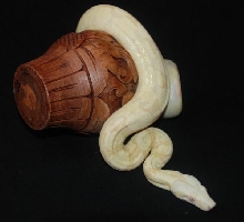 Blanca 08 Kahl Albino