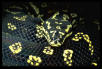 diamond cross bought from python pete
