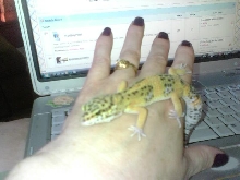 Steve and Me