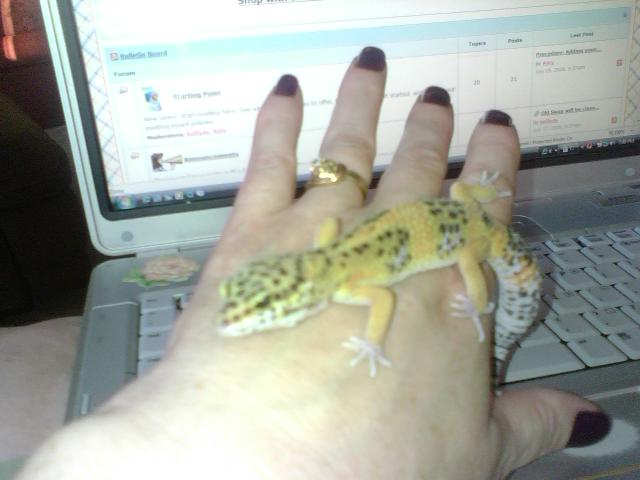 Steve and Me