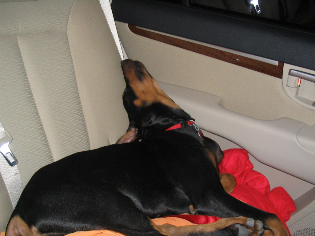 Worn out after training