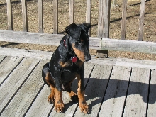 Sweet  4 month old