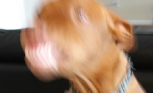 Blurrysmile2