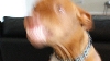 Blurrysmile