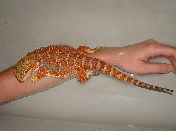 Ruby at Bath Time