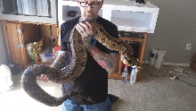 More pics of Rox