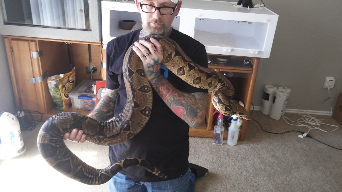 More pics of Rox
