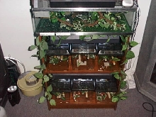 This is my Nursery