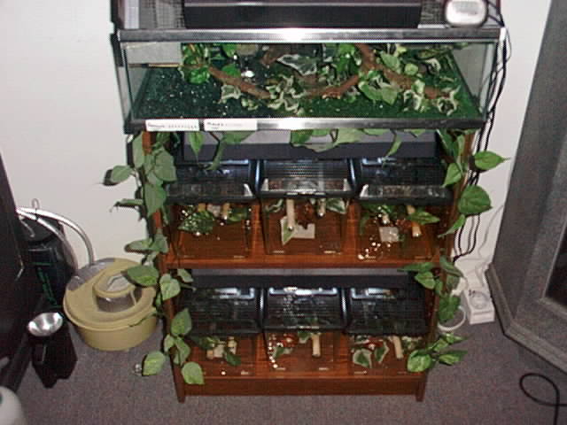 This is my Nursery