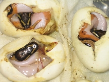 2010 pieds in the egg