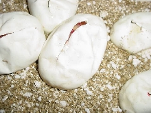 2006 albino eggs