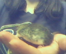 baby rat again