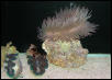Saltwater Photos