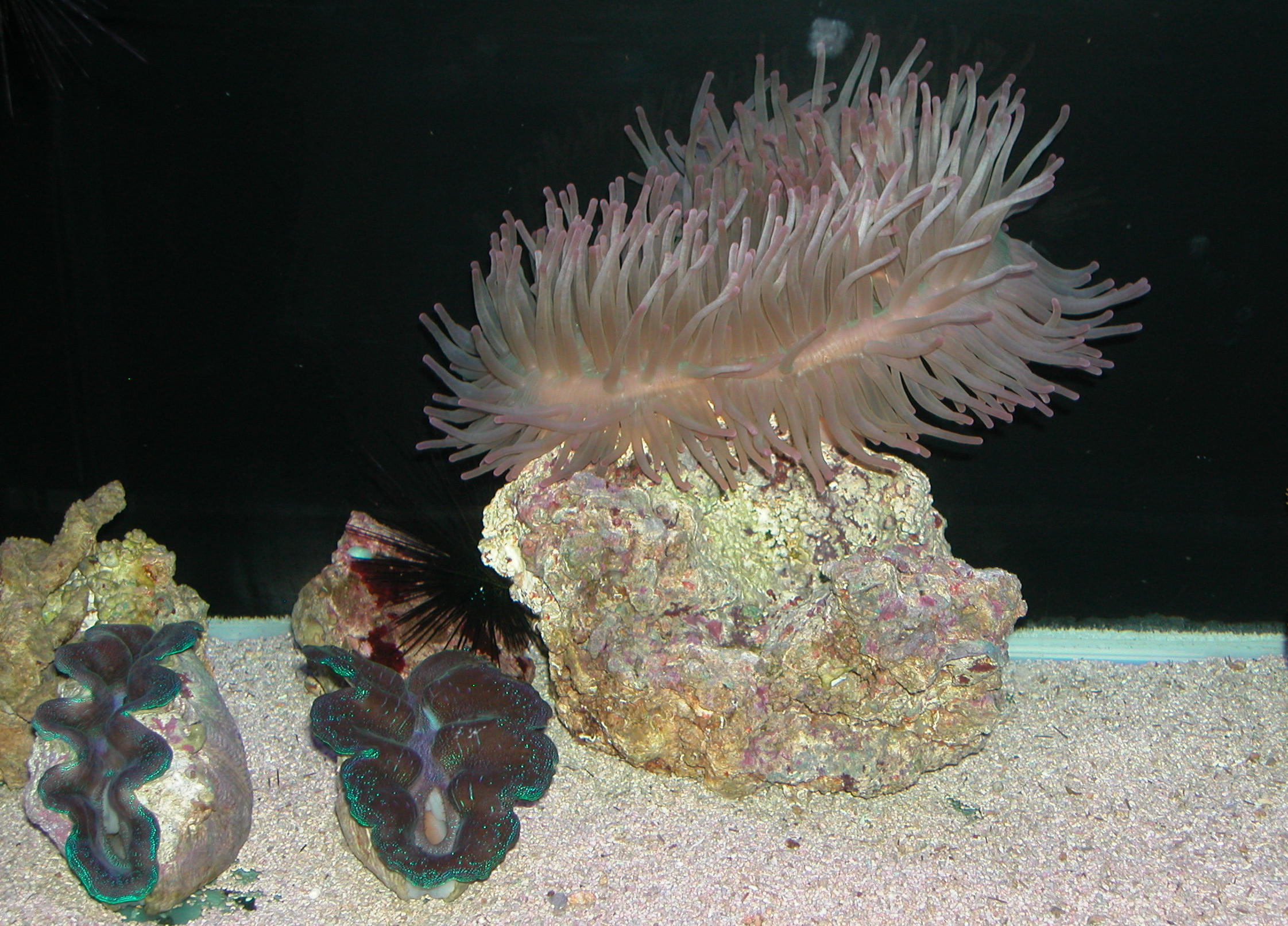 Saltwater Photos