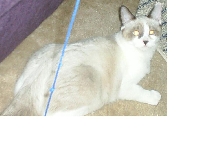 Yuki