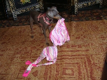 skylar with victoria's secret