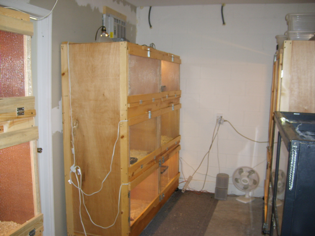 Before the racks.