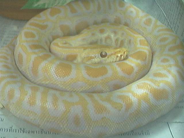 MY BABY