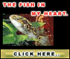 Varieties of Tropical fish