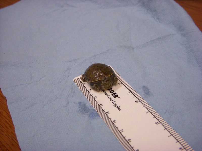photo1
