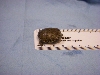 photo3