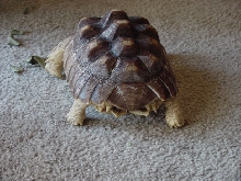 george 05