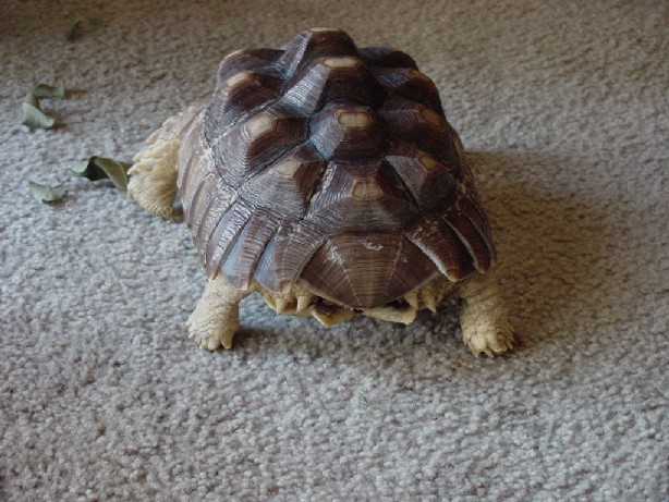 george 05