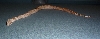 08 Male Hogg Island Boa