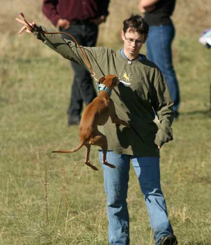 beaker