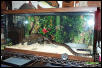 florida 40 gal