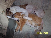 Lilly and Bert