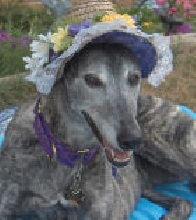 The Beautiful Miss Lucy
